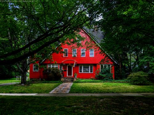 REDhouse GFXS0019